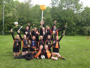 B-aps 2015 veld